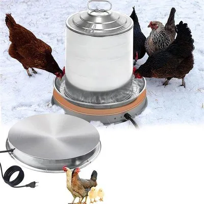 Immagine prodotto di Riscaldatore a ribalta per pollai, abbeveratoio da 30 cm, tappetino riscaldante, regolazione della temperatura, riscaldamento per polli.