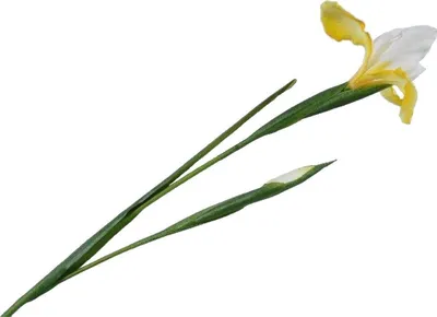 Produktbild von Silk-ka Künstliche Blume – Seidenblume Iris-Stiel Seide Gelb 76 cm Sonderangebot pro 2 Stück