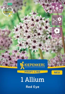 Produktbild von Kiepenkerl Profi-Line Zierlauch Red Eye Allium 1 Zwiebel
