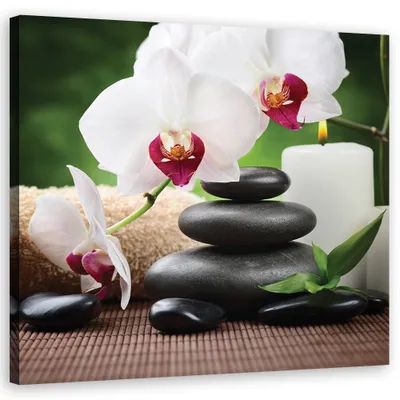 Produktbild von Leinwandbild Zen-Orchideen-Steine 40x40 Feeby Weiß bild für die wand bereit zum aufhängen