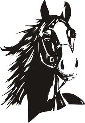 Produktbild von Wandtattoo - Wandaufkleber - Pferd - Pferdekopf - Tier - Reitsport - Wandfolie
