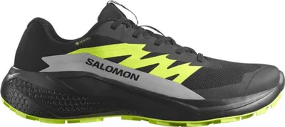 Produktbild von Schuhe Salomon Alphaglide Gtx 478020