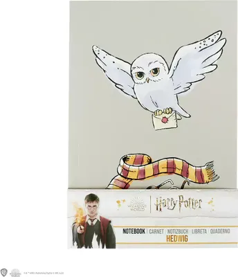 Produktbild von Harry Potter Hedwig Notizbuch Softcover