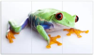 Produktbild von Wallario Herdabdeckplatte aus Glas, Größe 90 x 52 cm 3-teilig, Motiv Lustiger Frosch in grün und orange
