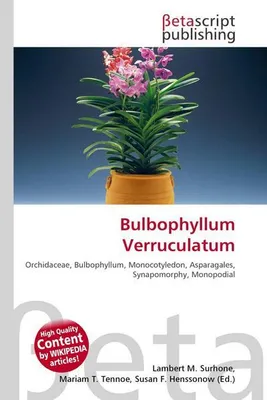 Produktbild von Bulbophyllum Verruculatum