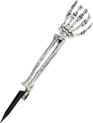 Image de Décoration de fête squelette 47 cm - taille unique