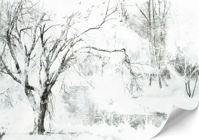 Immagine prodotto di LUMASOUL Carta da parati fotografica 500x350 cm, Motivo invernale 5, carta da parati soggiorno di alta qualità facile da montare, standard