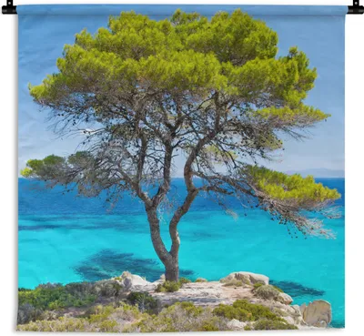 Produktbild von MuchoWow® Wandteppich Wandbehang Baum - Meer - Tropisch - Sommer 150x150 cm Tapisserie Dekoration Wandtuch - Wohnaccessoires - Modernes