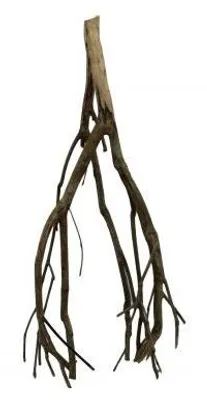 Productafbeelding van CeramicNature Talawa wood fijn vertakt aquarium- en terrariumhout 50 cm