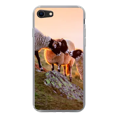 Produktbild von MuchoWow® Handyhülle Schutzhülle Hülle für iPhone SE 2022 Schafe - Tiere - Sonnenuntergang Silikon Softcase Handy Hülle - Schutzhülle