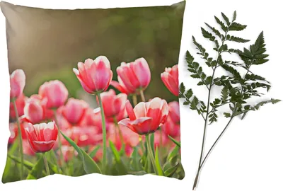 Produktbild von MuchoWow® Zierkissen Sofakissen Wohnzimmer Dekokissen 60x60 cm Tulpen - Sonne - Frühling - Sitzfläche - Foto Polster
