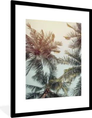 Produktbild von MuchoWow® Gerahmtes Poster Palme - Sommer - Tropisch 60x80 cm - Poster mit Schwarzem Bilderrahmen Wandposter Rahmen Foto Bilder - Wohnzimmer - Dekorationen - Prämie