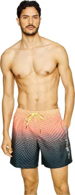 Produktbild von Badehose Quiksilver EQYJV04000-BSL6 für Uni