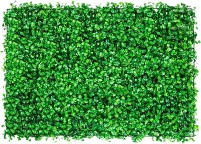 Produktbild von Künstliche Hecke – Wetterfest – Pflegeleicht – Gartendekoration – 51 x 51 cm – 12 Stück
