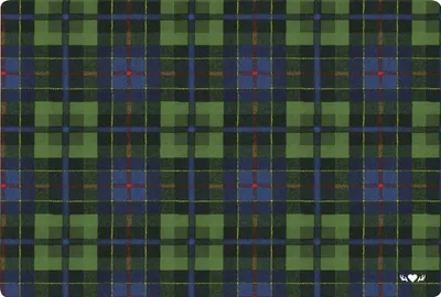 Image de Set de table, plastique TARTAN vert, IHR