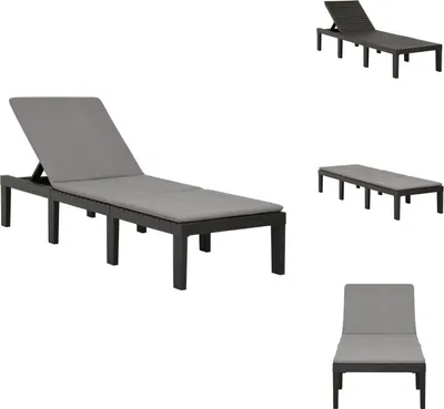 Image de vidaXL Bain de soleil avec support plastique Anthracite - Bains de soleil