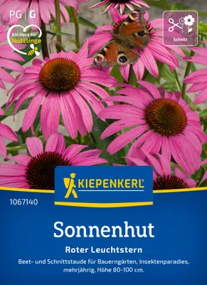 Artikelbild 2 von 'Sonnenhut Roter Leuchtstern' aus der Kategorie Sonnenhutsamen