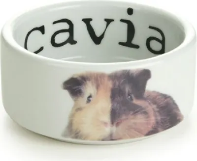 Produktbild von Beeztees Snapshot - Meerschweinchennapf - Keramik - 10x4 cm