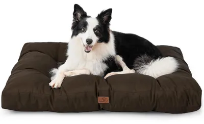 Produktbild von Hundekissen L 91x68cm braun 10cm Höhe waschbar gepolstert für große Hunde