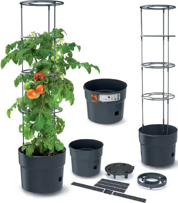 Produktbild von Tomatenpflanzer 15L anthrazit IPOM350-S433