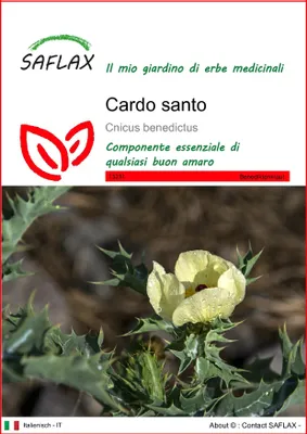 Immagine prodotto di SAFLAX - Cardo santo - 50 semi - Cnicus