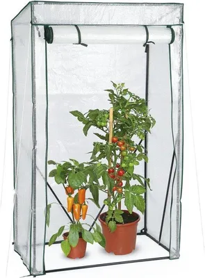 Produktbild von Famanu Foliengewächshaus für Pflanzen - Transparent 100 x 50 x 158/170 cm