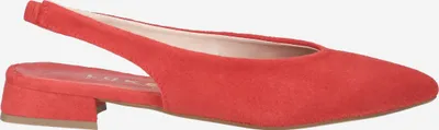 Produktbild von Lüke Schuhe PRAIA 2753, Peeptoes & Slingpumps in Rot für Damen, Größe 40