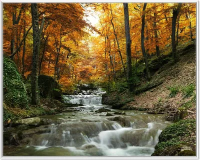 Produktbild von Wallario Wandbild Kleiner Bach über Steine im Herbstwald, Größe: 40,30 x 50,30 cm, Poster mit weißem Aluminiumrahmen
