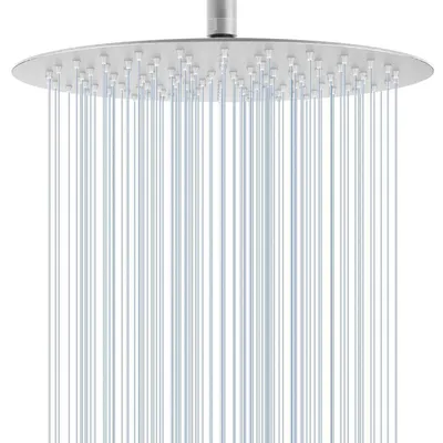 Obrázok produktu pre Sprchová hlavica Regendusche, priemer 30 cm, okrúhly tvar, brúsená nerezová oceľ 304, úsporná, s 120 silikónovými tryskami