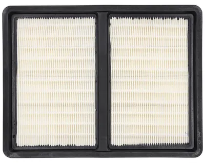Immagine prodotto di Filtro HEPA per aspirapolvere Dedra DED6607