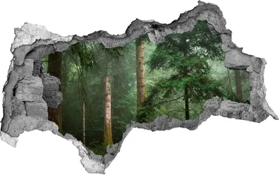 Produktbild von Selbstklebender Loch-3D-Aufkleber 95x73 cm Nebel im Wald