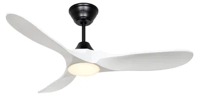 Obrázek produktu pro Stropní ventilátor CasaFan 312268 ECO GENUINO-L s osvětlením 122cm lopatky matná bílá černá motor