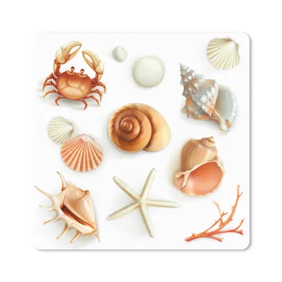 Produktbild von MuchoWow® Mauspad Mousepad Muscheln - Meerestiere - Collage 20x20 cm - Mousepads - Maus Mat - Pad - Mausunterlage - Desk Mat - Bureauartikeln