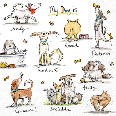Produktbild von IHR Serviette Emotion Dogs 33x33 cm Hundemotiv Papierserviette Tischdeko
