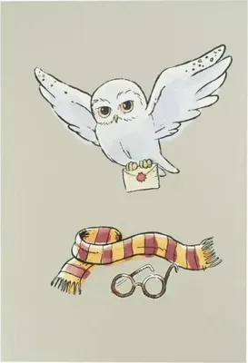 Obrázek produktu pro Harry Potter zápisník A5 - Hedvika