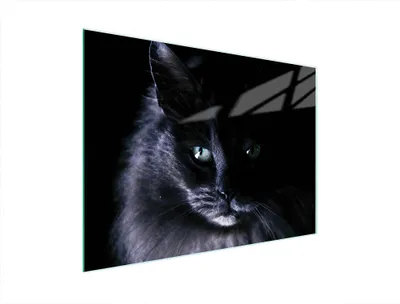 Produktbild von Glasschneidebrett Katze 40x30 cm aus gehärtetem Glas, hitzebeständig & rutschfest
