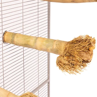 Produktbild von JAVA · Bambussitzstange mit Wurzelkopf · Mittel · Bamboo Perch Medium · Papageiensitzstange