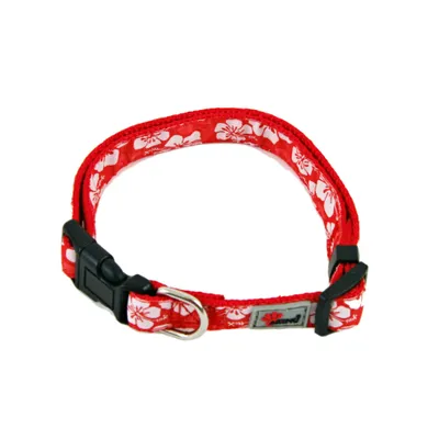Obrázok produktu pre Akinu BASIC Nylonový obojok pre psov modrý 2,5 x 45-65 cm