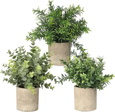 Image de Lot de 3 plantes artificielles vertes : eucalyptus et romarin - Décoration