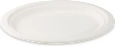 Produktbild von 50x Servierteller Fleischteller oval aus Zuckerrohr Bagasse 26 x 20 cm