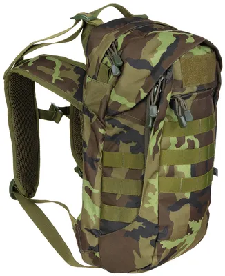 Produktbild von Brit. Rucksack Assault 17 CZ tarn