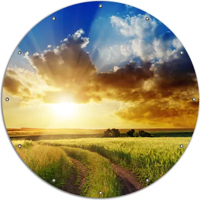 Produktbild von Wallario rundes Outdoor-Poster für Garten oder Balkon, Motiv Feldweg in den Sonnenuntergang, 120 cm Durchmesser