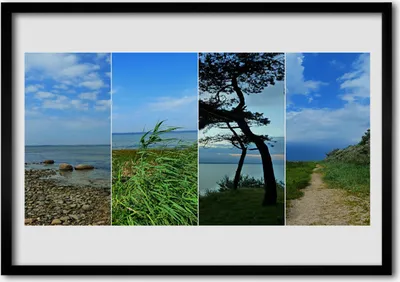 Produktbild von Bild 70x50 MDF-Rahmen Wandkunst Strand-Baum-Landschaft
