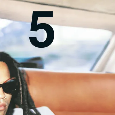Zdjęcie produktu dla Lenny Kravitz - 5 (180 g) (2 LP)