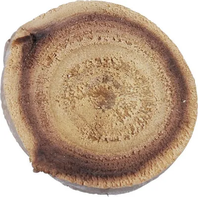 Produktbild von MAULBEERBAUM-SCHEIBEN ca. 30-80mm. 1 Liter.