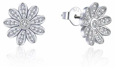 Produktbild von Glittering silver earrings Flowers E0002384