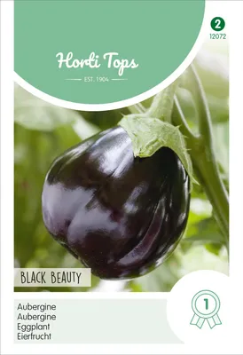 Artikelbild 2 von 'Eierfrucht Black Beauty' aus der Kategorie Auberginensamen
