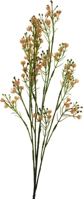 Produktbild von artplants.de Dekoblume Schleierkraut LINFENG, pfirsich, 70 cm - Künstliche Blume