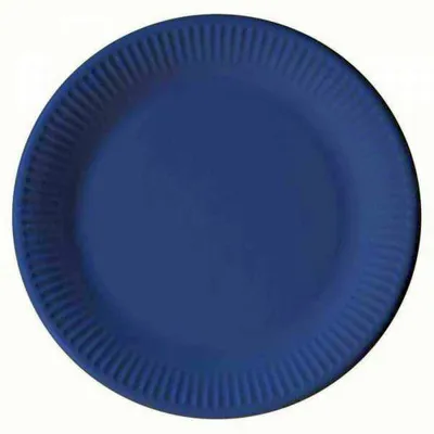 Immagine prodotto di Compostabili Unicoloured Azzurro 8 piatti di carta 23 cm