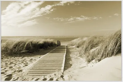 Produktbild von Wallario Wandbild Auf dem Holzweg zum Strand in Sepiafarben, Größe: 61 x 91,50 cm, Poster mit weißem Aluminiumrahmen